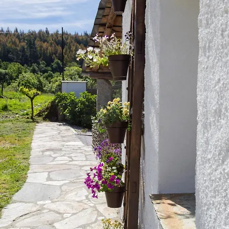 Appartamento Lucio Rodinso